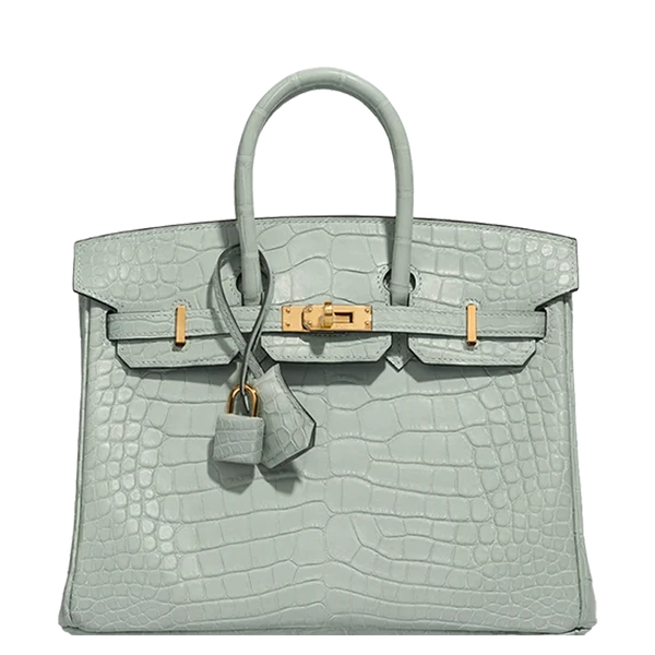 Hermès Birkin 25 Matte Alligator Vert d'Eau Gold Hardware Stamp A 2017